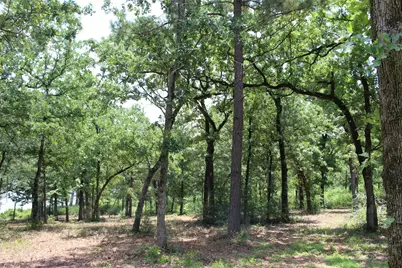 Tract 159 Private Road 1311, Centerville, TX 75833 - Photo 16