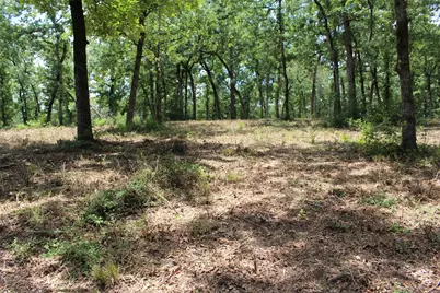 Tract 159 Private Road 1311, Centerville, TX 75833 - Photo 22
