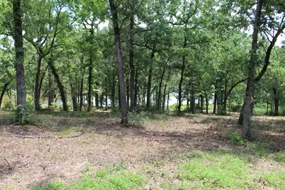 Tract 159 Private Road 1311, Centerville, TX 75833 - Photo 14