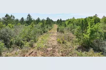 0004 Sh 249, Navasota, TX 77868 - Photo 14