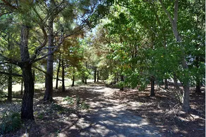 5615 Caspian Falls Lane, Fulshear, TX 77441 - Photo 48