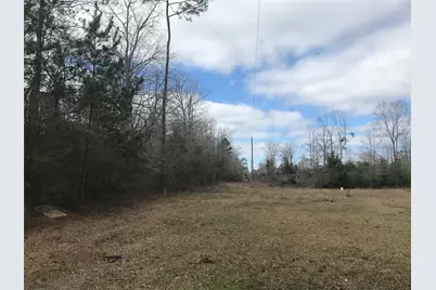331 Hollywood Street, Livingston, TX 77351 - Photo 6