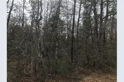 331 Hollywood Street, Livingston, TX 77351 - Photo 8