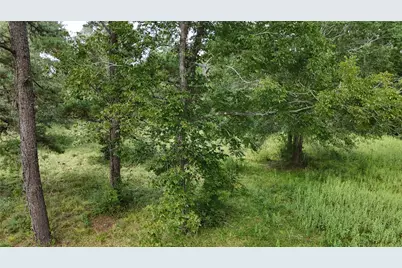 4769 Us-59, Livingston, TX 77351 - Photo 20