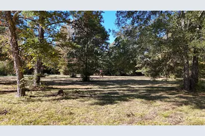 4769 Us-59, Livingston, TX 77351 - Photo 4