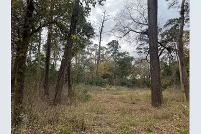 0 Tbd Cripple Creek Dr, Pinehurst, TX 77362 - Photo 6