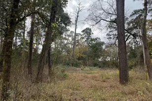 0 Tbd Cripple Creek Dr, Pinehurst, TX 77362 - Photo 6