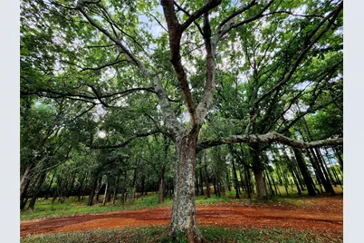 1134 Farm To Market 354, San Augustine, TX 75972 - Photo 30
