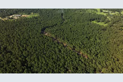 0000 Evergreen Lot 7 Fm 362 Road, Waller, TX 77484 - Photo 12