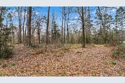 Tbd US Highway 96 S Highway, San Augustine, TX 75972 - Photo 2