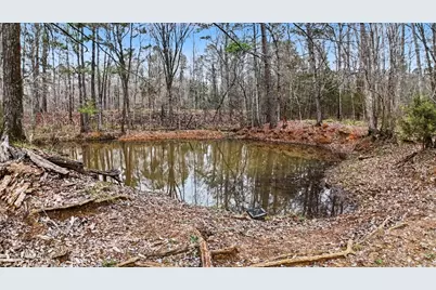 Tbd US Highway 96 S Highway, San Augustine, TX 75972 - Photo 4