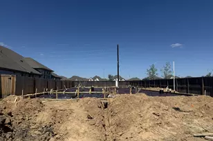 18735 Citrange Bnd Wy, Manvel, TX 77578 - Photo 6