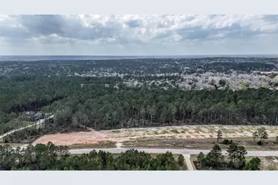 15583 Forest Grove Drive, Willis, TX 77378 - Photo 4