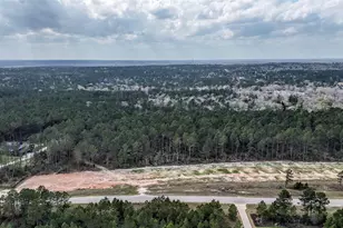 15583 Frst Grv Dr, Willis, TX 77378 - Photo 4