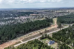 15583 Frst Grv Dr, Willis, TX 77378 - Photo 10