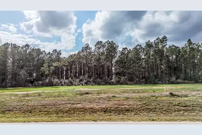 15583 Forest Grove Drive, Willis, TX 77378 - Photo 16