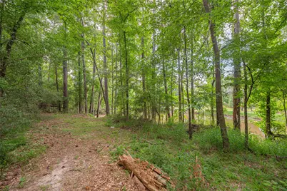 Tbd W Reel and Rifle, Livingston, TX 77351 - Photo 16