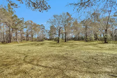 10067 White Rock Road, Conroe, TX 77306 - Photo 6