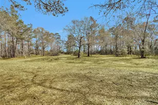 10067 White Rock Rd, Conroe, TX 77306 - Photo 6