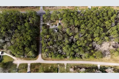 0 County Road 427 Loop, Dayton, TX 77535 - Photo 6