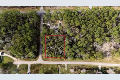 0 County Road 427 Loop, Dayton, TX 77535 - Photo 1