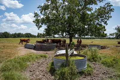 2210 Hermis Road, Schulenburg, TX 78956 - Photo 20