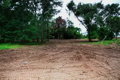 15 Ac Greenbriar Road, Madisonville, TX 77864 - Photo 2