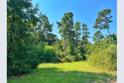 2599 Cr 131, Centerville, TX 75833 - Photo 26