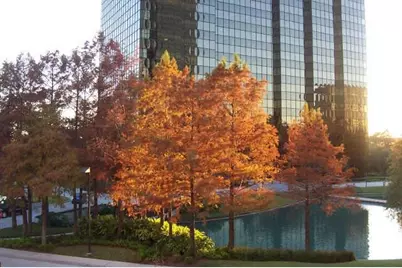 5005 Hidalgo Street #601, Houston, TX 77056 - Photo 48