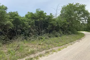 000 Green Ash Dr, Normangee, TX 77871 - Photo 1