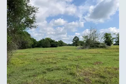 00 Tbd A0019 Fj Greenwood, Track 3 Fm 2445 Road, Navasota, TX 77868 - Photo 8