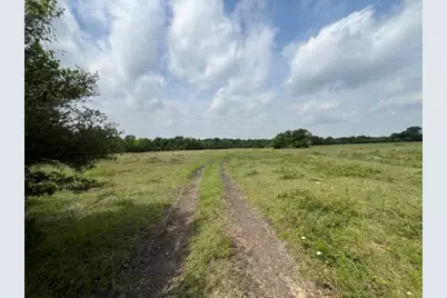 00 Tbd A0019 Fj Greenwood, Track 3 Fm 2445 Road, Navasota, TX 77868 - Photo 6
