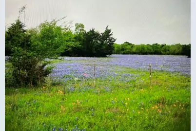 00 Tbd A0019 Fj Greenwood, Track 3 Fm 2445 Road, Navasota, TX 77868 - Photo 2