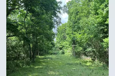 00 Tbd A0019 Fj Greenwood, Track 3 Fm 2445 Road, Navasota, TX 77868 - Photo 14