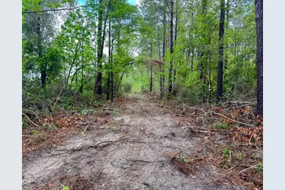 1 Benny Griffin Road, Livingston, TX 77351 - Photo 18