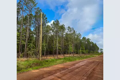 1 Benny Griffin Road, Livingston, TX 77351 - Photo 20