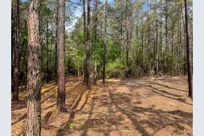 1 Benny Griffin Road, Livingston, TX 77351 - Photo 10