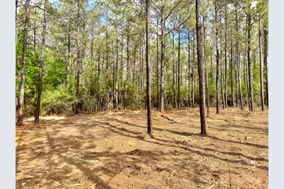 1 Benny Griffin Road, Livingston, TX 77351 - Photo 8