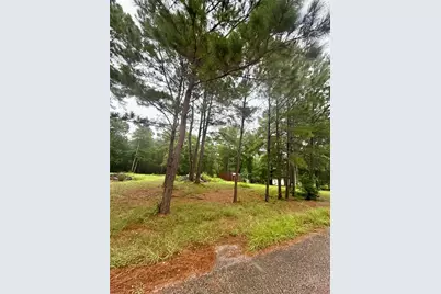 10570 Settlers Crossing, Conroe, TX 77303 - Photo 8