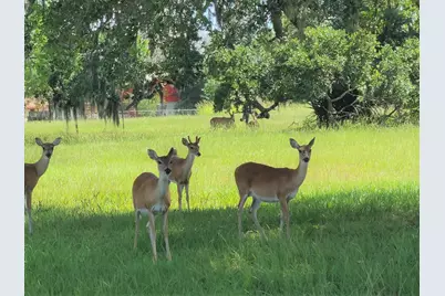 400 Pony Trail, Angleton, TX 77515 - Photo 2