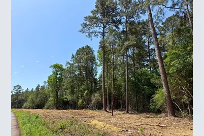 3 Camp Ruby Road, Livingston, TX 77351 - Photo 6