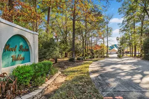 147 W Palm Blvd, Montgomery, TX 77356 - Photo 46