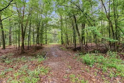 870 Cr 4259, Woodville, TX 75979 - Photo 36