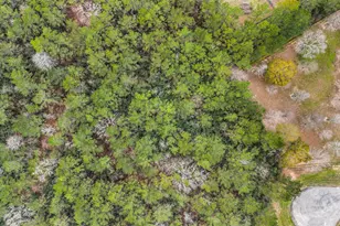 4504 Mistywood Ct, Montgomery, TX 77316 - Photo 16