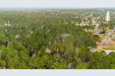 4504 Mistywood Court, Montgomery, TX 77316 - Photo 14