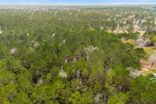 4504 Mistywood Ct, Montgomery, TX 77316 - Photo 14