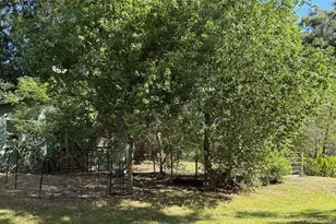 315 Loafers Ln, Goodrich, TX 77335 - Photo 12
