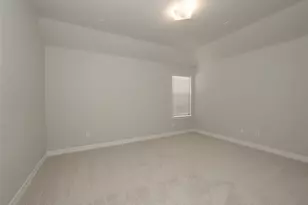 8231 Red Shinner Way, Fulshear, TX 77441 - Photo 16