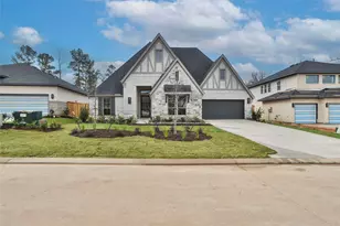26815 Mustang Springs Court, Montgomery, TX 77316 - Photo 18