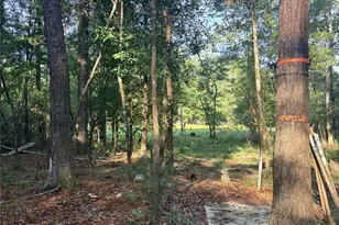 9470 Village Creek Rd, Silsbee, TX 77656 - Photo 16